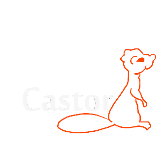 Logo Castor Imóveis